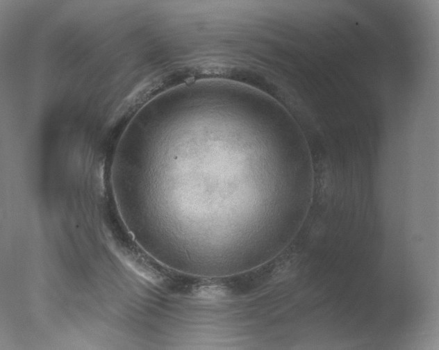 X0000078010262200610271215