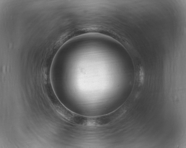 X0000078010264200610271215