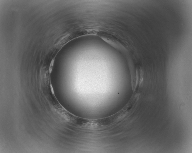 X0000078010276200610271216