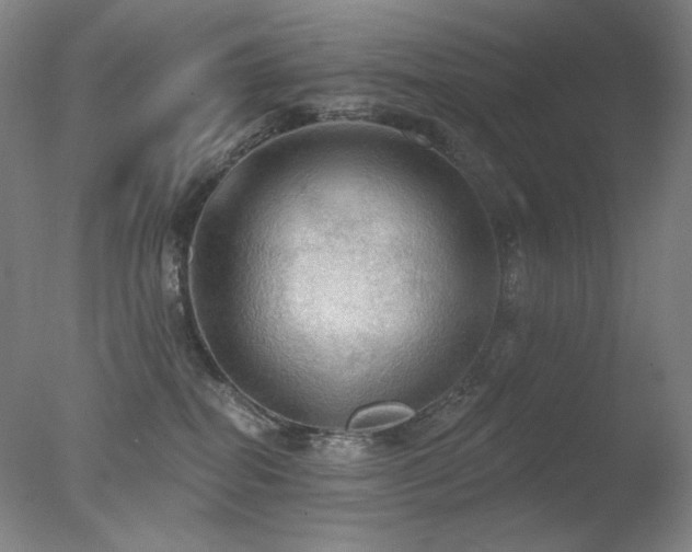 X0000078010282200610271216