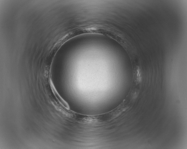 X0000078010284200610271216