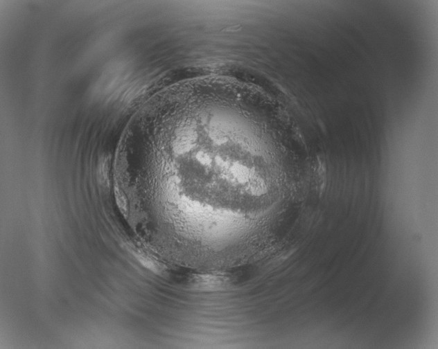 X0000078010286200610271216