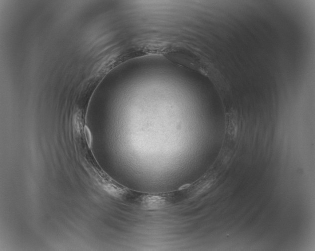 X0000078010287200610271216