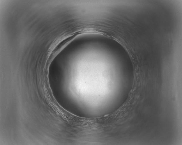 X0000078010289200610271215