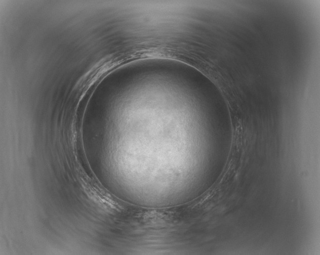 X0000078010290200610271215