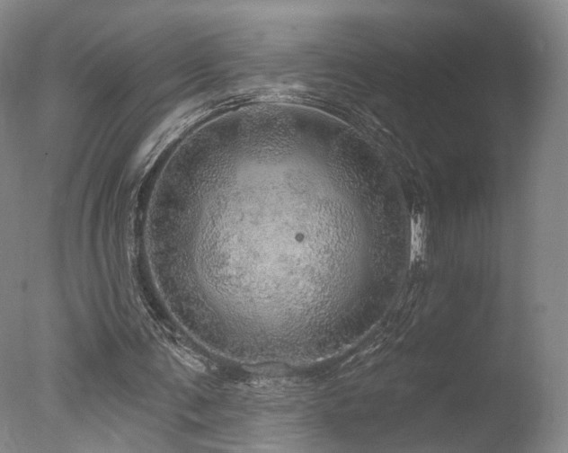 X0000078010291200610271215
