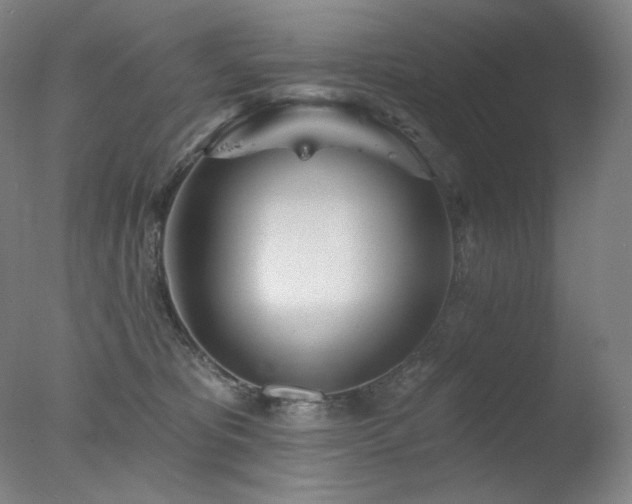 X0000078010325200610271214