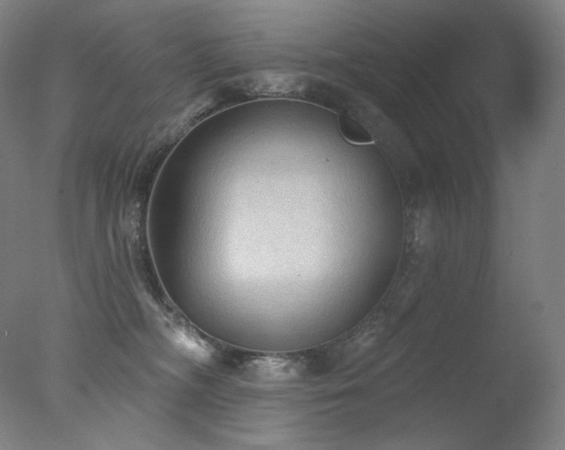 X0000078010326200610271214