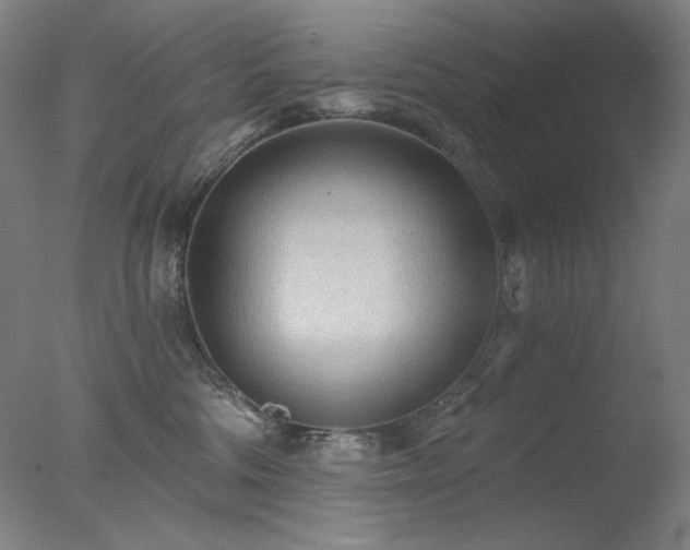X0000078010330200610271214