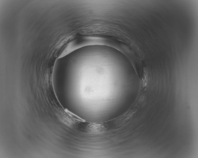 X0000078010333200610271214