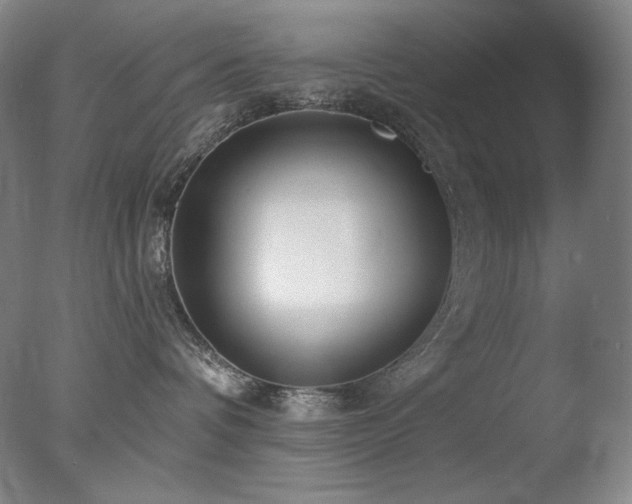 X0000078010336200610271214
