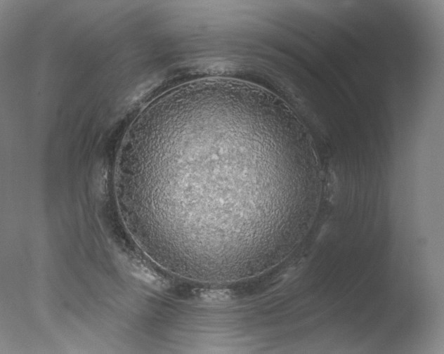 X0000078010355200610271214