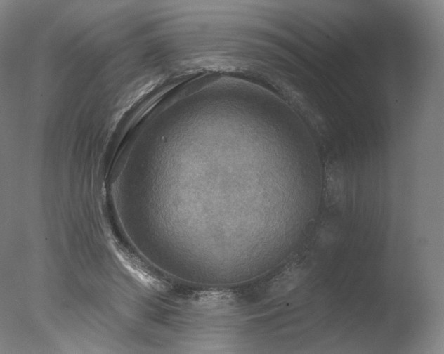 X0000078010398200610271213