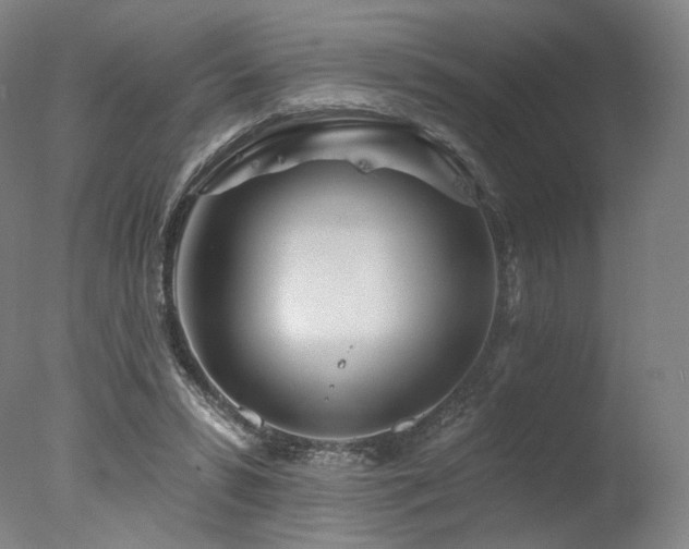 X0000078010399200610271213