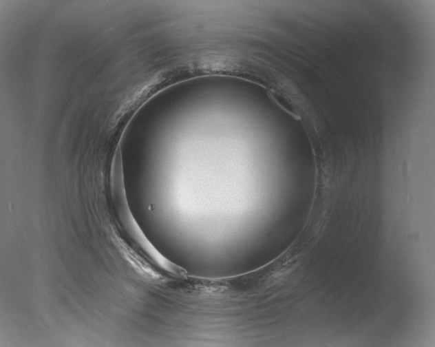 X0000078010401200610271213