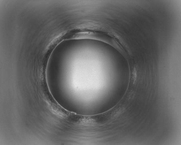 X0000078010403200610271213