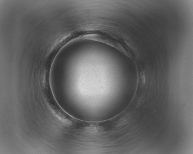 X0000078010404200610271213