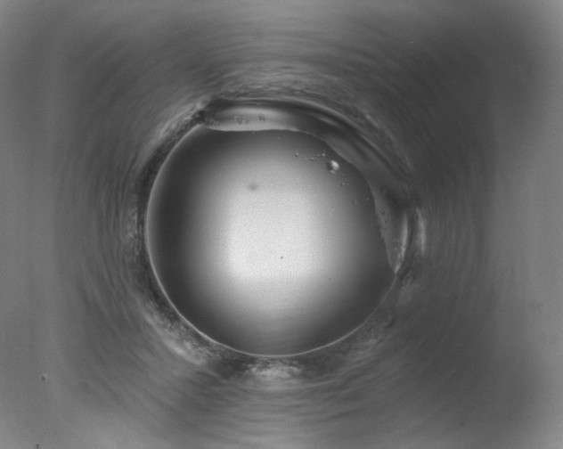 X0000078010407200610271213