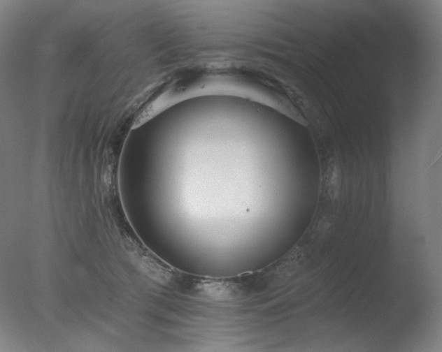 X0000078010417200610271213