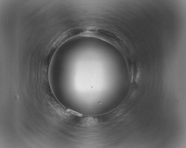 X0000078010421200610271213