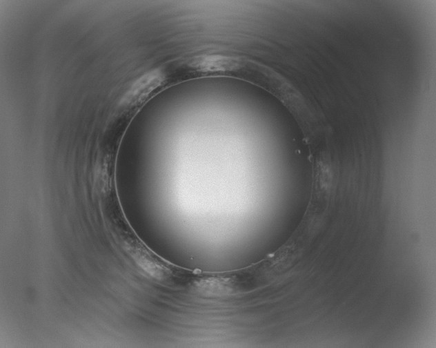 X0000078010422200610271213