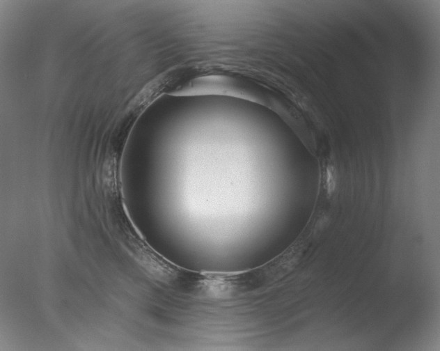 X0000078010425200610271213