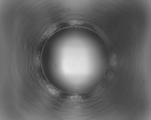 X0000078010426200610271213