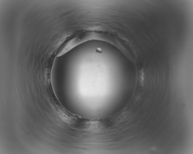 X0000078010428200610271213