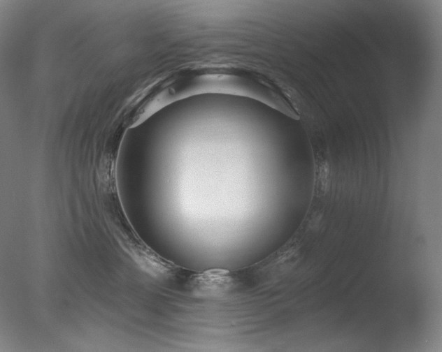 X0000078010429200610271213
