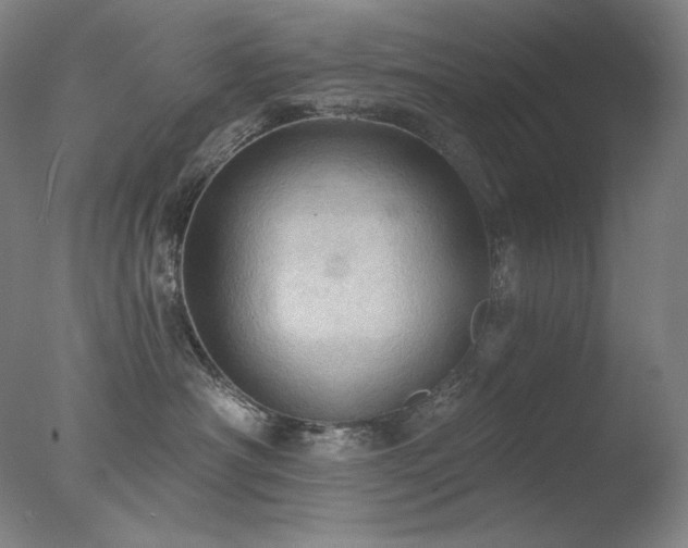 X0000078010430200610271213