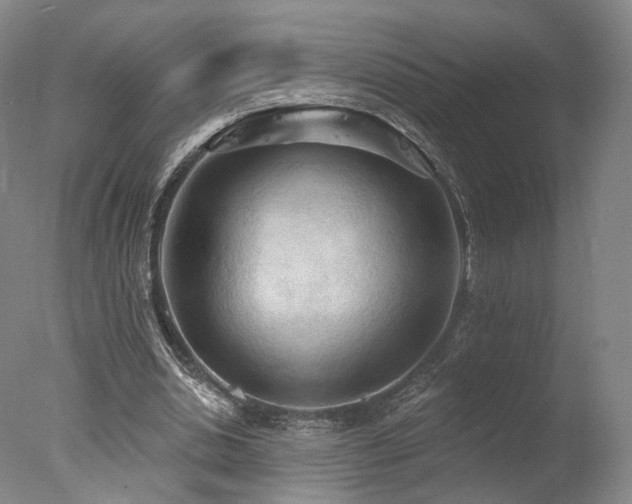 X0000078010438200610271212