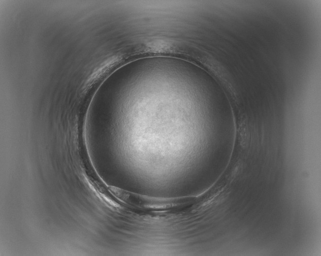 X0000078010442200610271212
