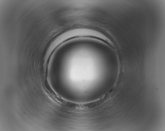 X0000078010455200610271212