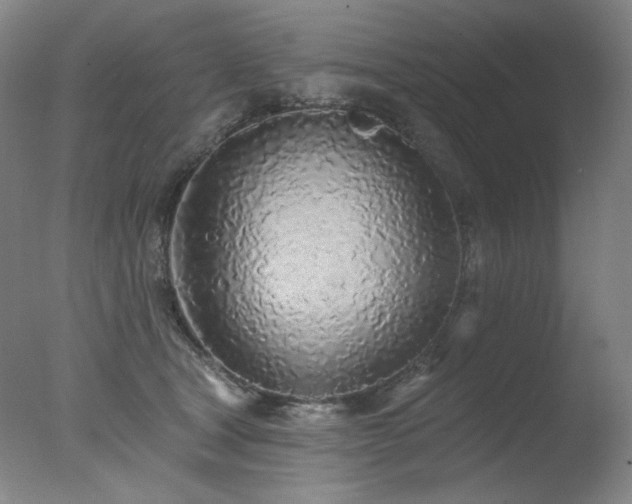 X0000078010465200610271212