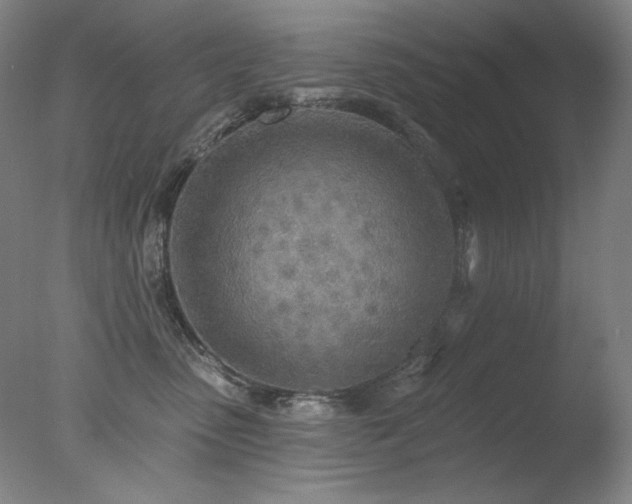 X0000078010475200610271212