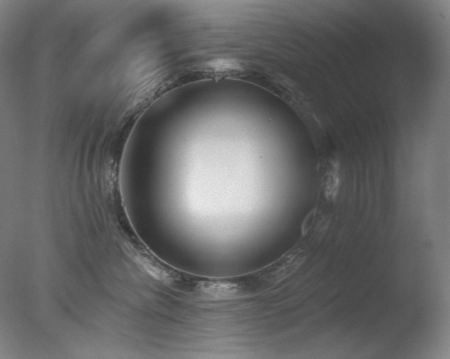 X0000078010476200610271212