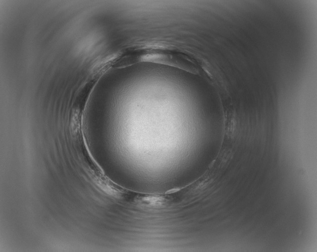 X0000078010478200610271212
