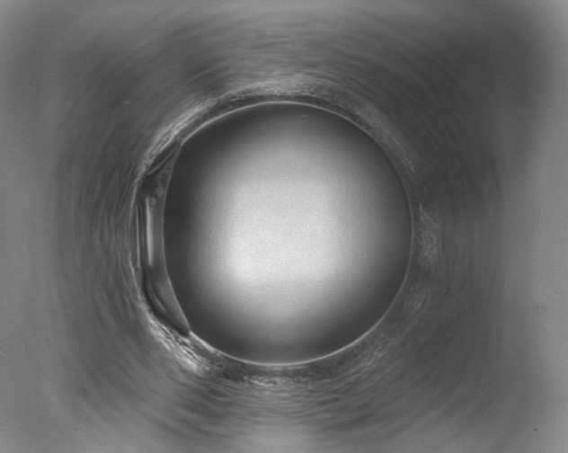 X0000078010486200610271212
