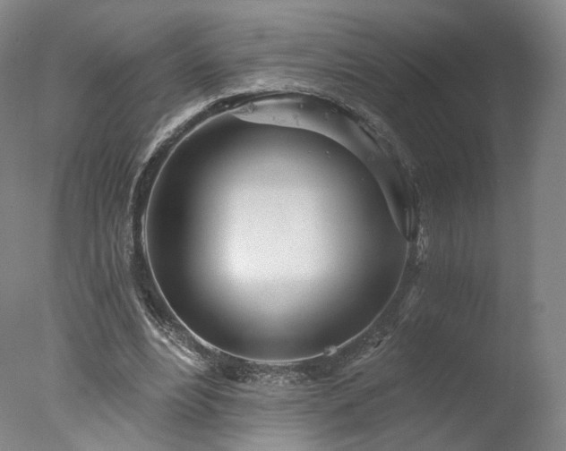 X0000078010488200610271212