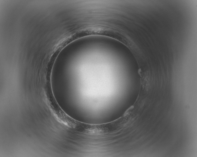 X0000078010500200610271211