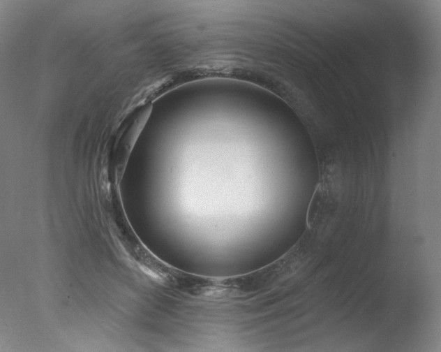 X0000078010504200610271211