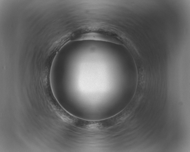 X0000078010505200610271211