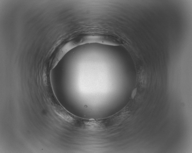 X0000078010516200610271211