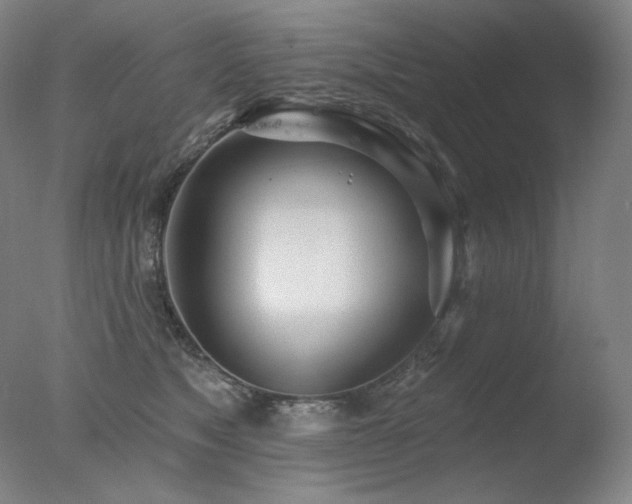 X0000078010517200610271211