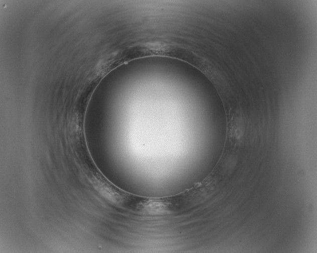 X0000078010518200610271211