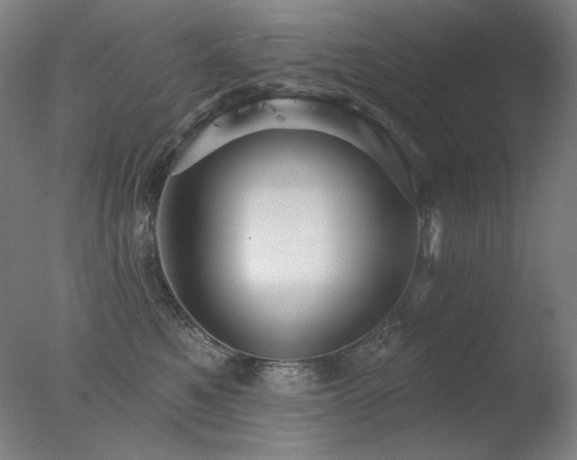 X0000078010521200610271211