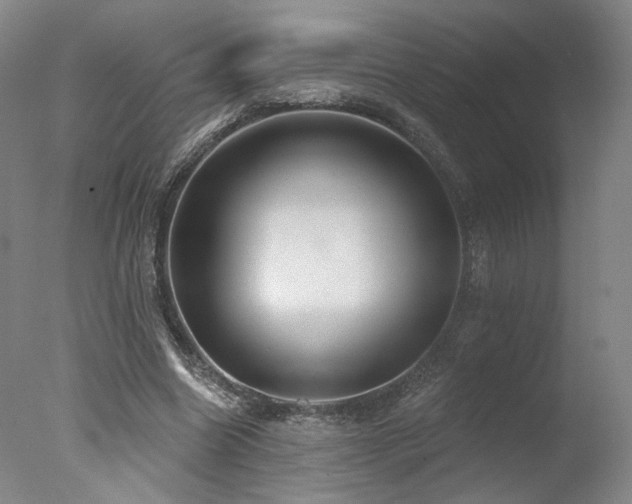 X0000078010538200610271210