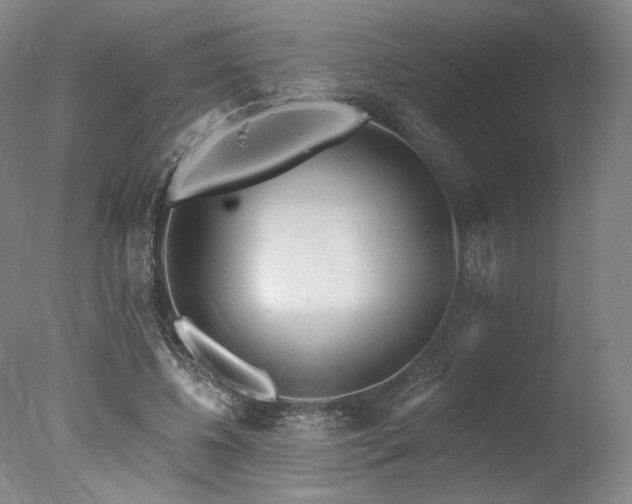 X0000078010540200610271210