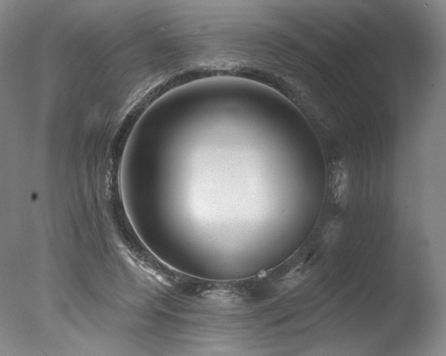 X0000078010544200610271210