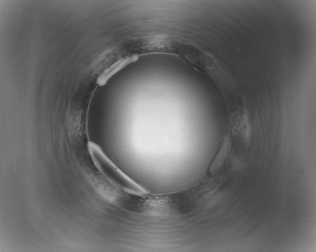 X0000078010560200610271211
